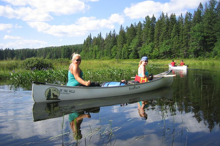 Canoe the Canadian wilderness in Algonquin Park